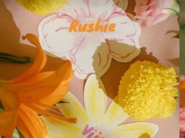 विजय देवरकोंडा और रश्मिका मंदाना की शादी: हल्दी समारोह की पहली खूबसूरत झलक आई सामने